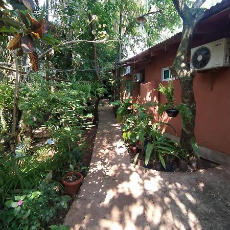 Hostel Guazu פוארטו איגואסו מראה חיצוני תמונה