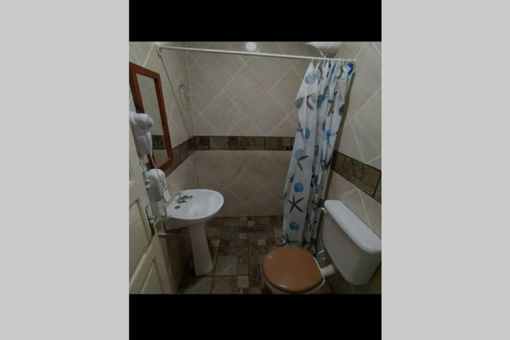 Hostel Guazu פוארטו איגואסו מראה חיצוני תמונה
