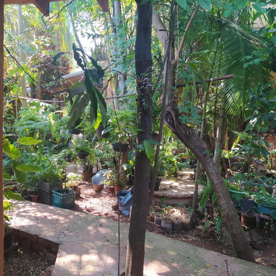 Hostel Guazu פוארטו איגואסו מראה חיצוני תמונה