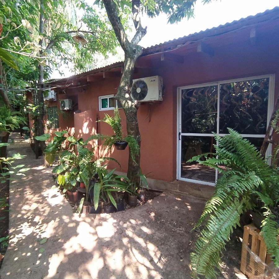 Hostel Guazu פוארטו איגואסו מראה חיצוני תמונה