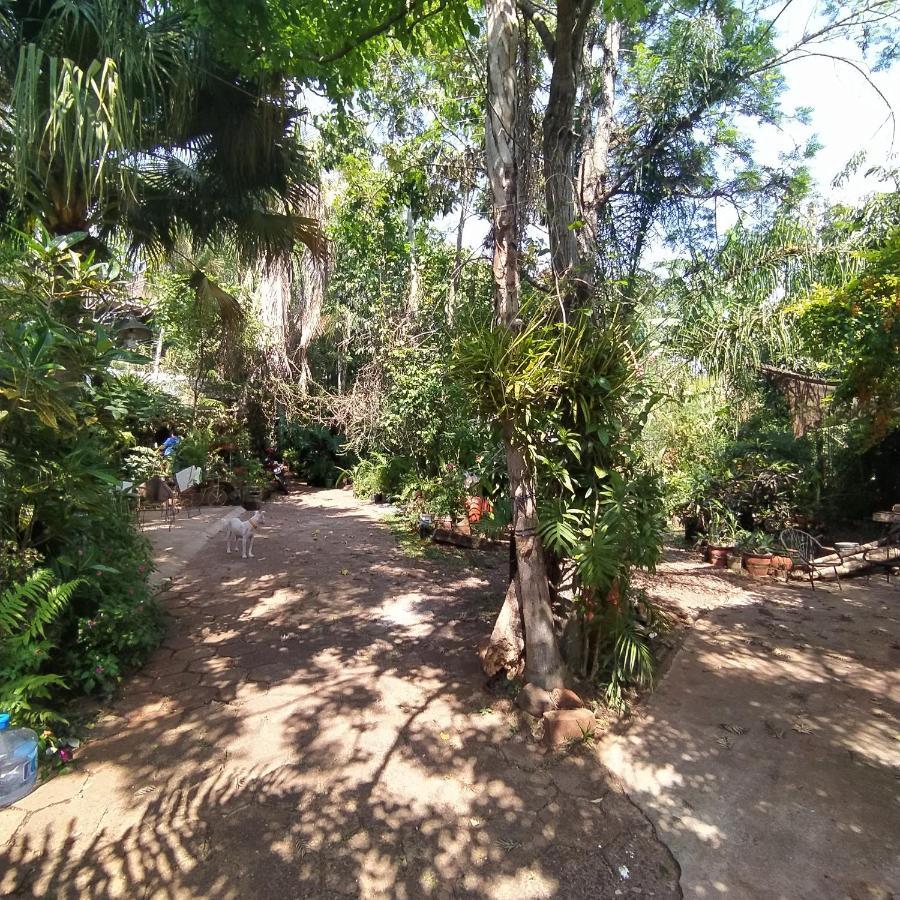Hostel Guazu פוארטו איגואסו מראה חיצוני תמונה