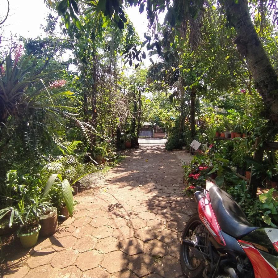 Hostel Guazu פוארטו איגואסו מראה חיצוני תמונה