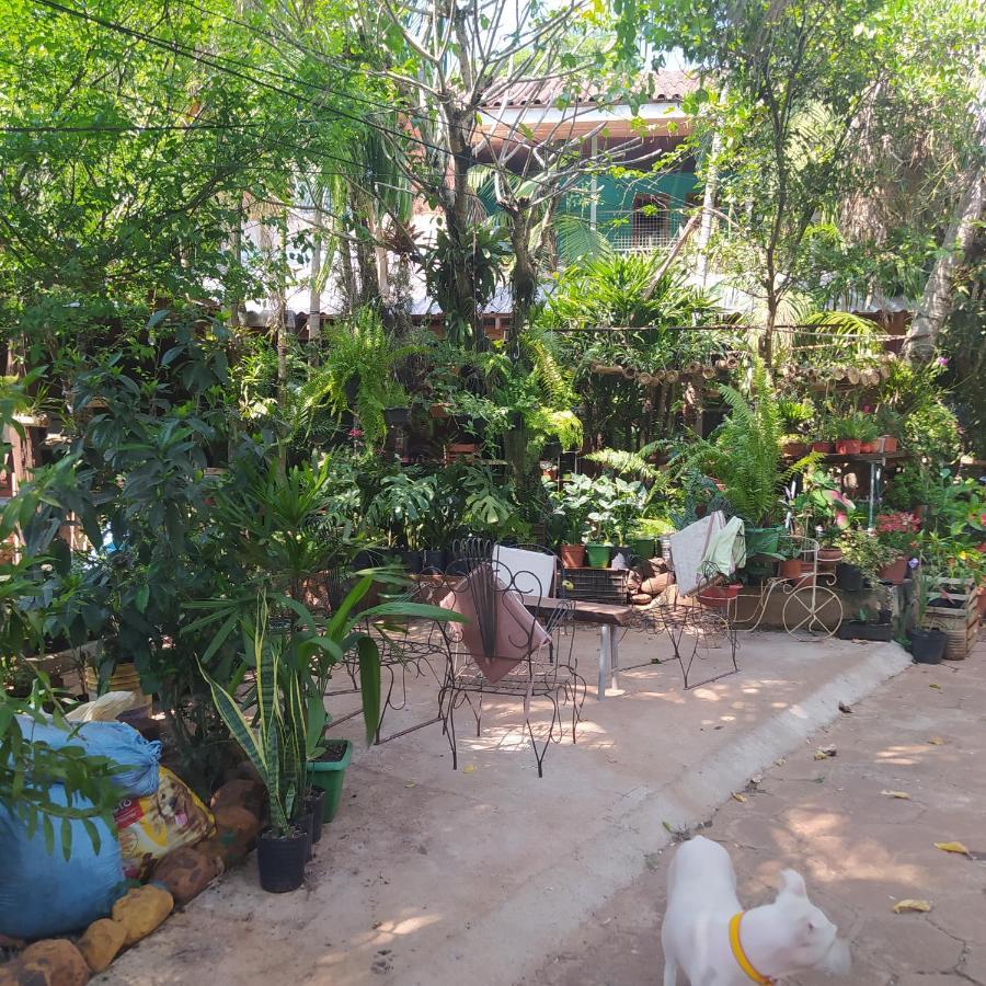 Hostel Guazu פוארטו איגואסו מראה חיצוני תמונה